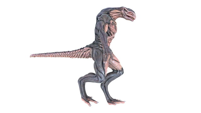怪獣
