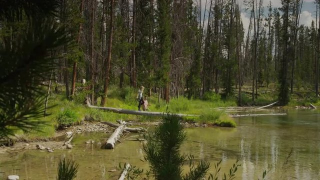 Panning wide shot of young couple walking on log at lake / Redfish Lake, Idaho, United States