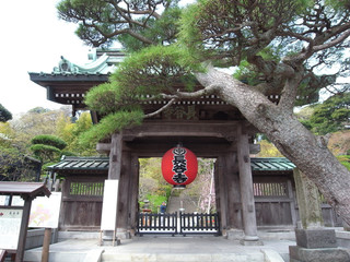 鎌倉　長谷寺