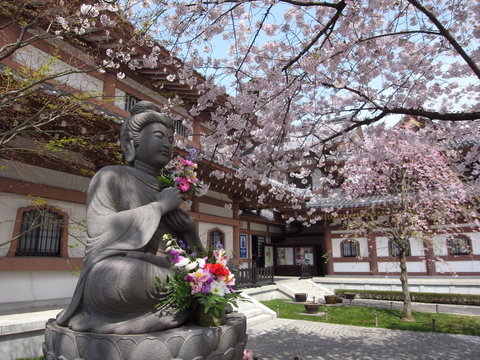 鎌倉　長谷寺