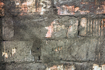 The background is a brick wall and old plaster