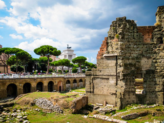 Fototapeta na wymiar Ruins of the Roman forum and view of Rome on a background, Italy