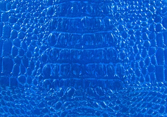 Crédence de cuisine en verre imprimé Crocodile crocodile leather texture