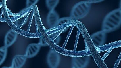 DNA. 3D. DNA Strands