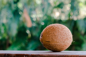 Coconut