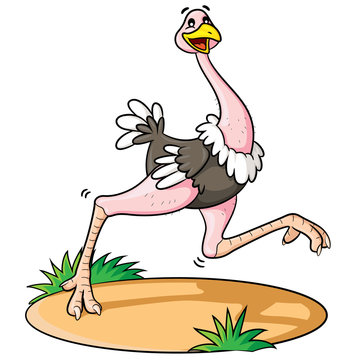 Ostrich Cartoon