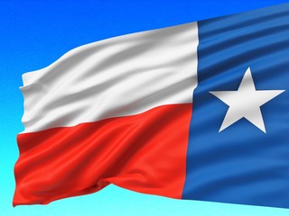 Texas State Flag. 3D. Flag of Texas