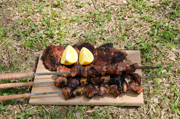 Baked meat on green meadow