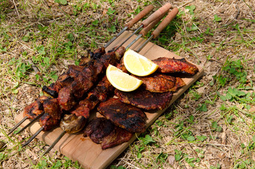 Baked meat on green meadow