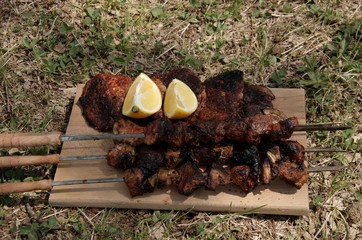 Baked meat on green meadow