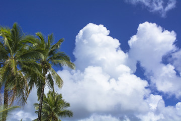 Fototapeta na wymiar パラオ、コロール島の入道雲