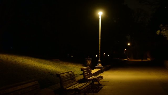 night park - benches and lamps