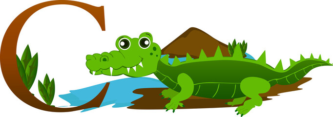 Illustrated alphabet letter c and crocodil