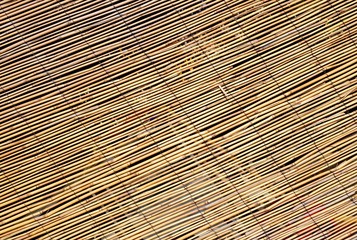 abstract background of large bamboo canes entwined with each oth