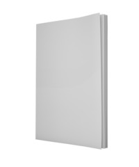 Magazine. 3D. Blank magazine cover II