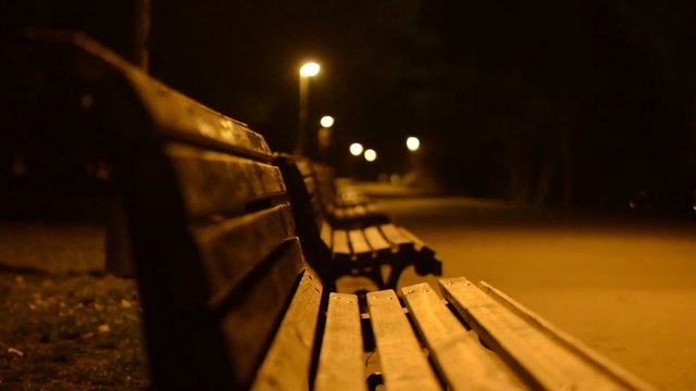 night park - benches and lamps - closeup
