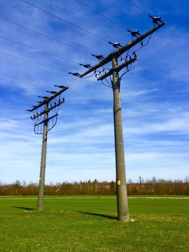 Alte Strommasten sonnen sich unter wei&szlig;-blauem Himmel