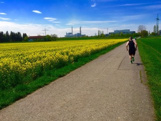 Obraz premium Jogger am Rapsfeld läuft Richtung Heizkraftwerk