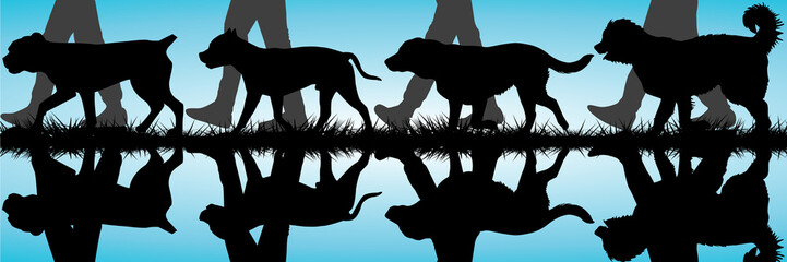 Amstaff, Presa Canario, Labrador and Caucasian Shepherd silhouet