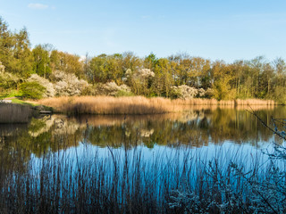 Mühlenteich in Rostock