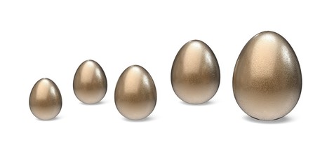 Growth. 3D. Egg Growth Graph