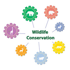 Fototapeta premium Conservation of the wildlife