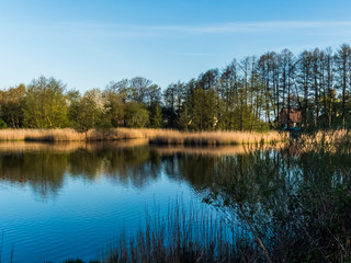 Mühlenteich in Rostock