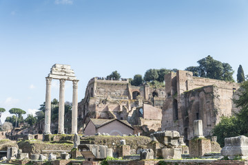Temple of Castor and Pollux.Temple Dioscuri. Roman Forum. Italy