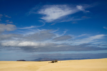 Dunes of Corralejo