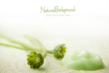 natural facial cream and flower's petals. Spa