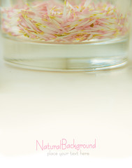 soft photo of flower's petals in glass bowl