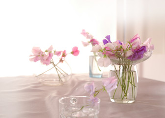 Sweet peas flower