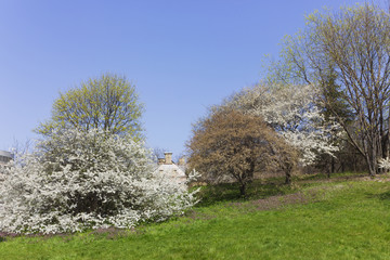 Spring in vollage