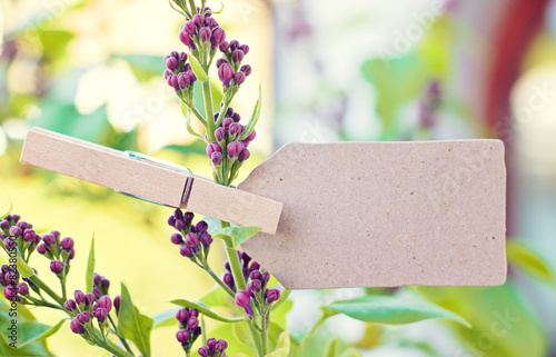 “nature greeting card background” Stock photo and royalty-free images