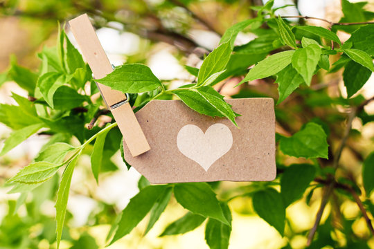 nature greeting card background - LOVE