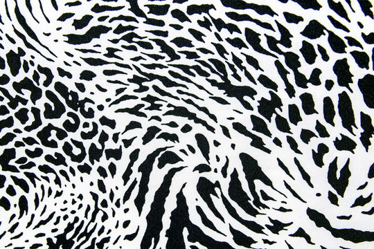 White Leopard Print Images – Browse 64,374 Stock Photos, Vectors, and Video
