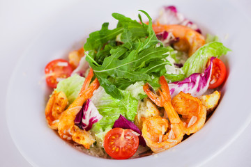 food for the restaurant Caesar salad with shrimps 