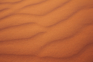 sand texture