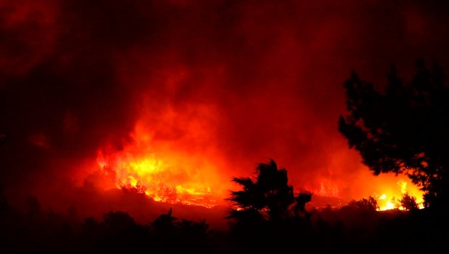 Fire storm in the forest &ndash; hell on earth. Horrific fire destroys thousands of acres of trees.
