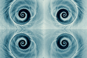 Blue snail spiral