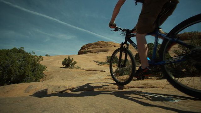 two mountain bikers