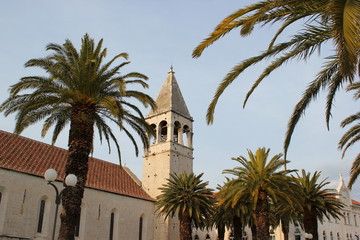 Fototapeta na wymiar Glockenturm und Palmen in der Altstadt von Trogir