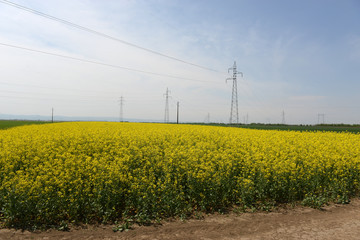 electric power line