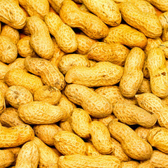 Peanuts background