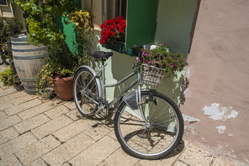 Fototapeta na wymiar Bicycle leaning on wall
