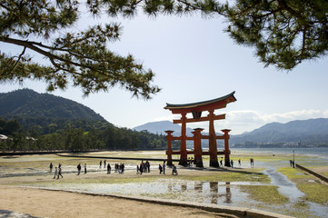 Naklejka premium 干潮の厳島神社、大鳥居