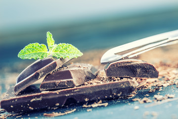 A few cubes of black chocolate with mint leaves.
