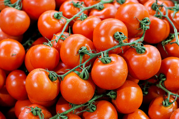 Tomato on  vine