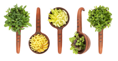 Fresh flavoring herbs and spices in ceramic scoop isolated