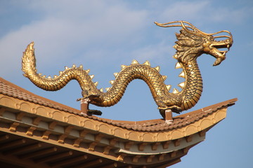 Fototapeta na wymiar Asiatischer Drache auf dem Dach